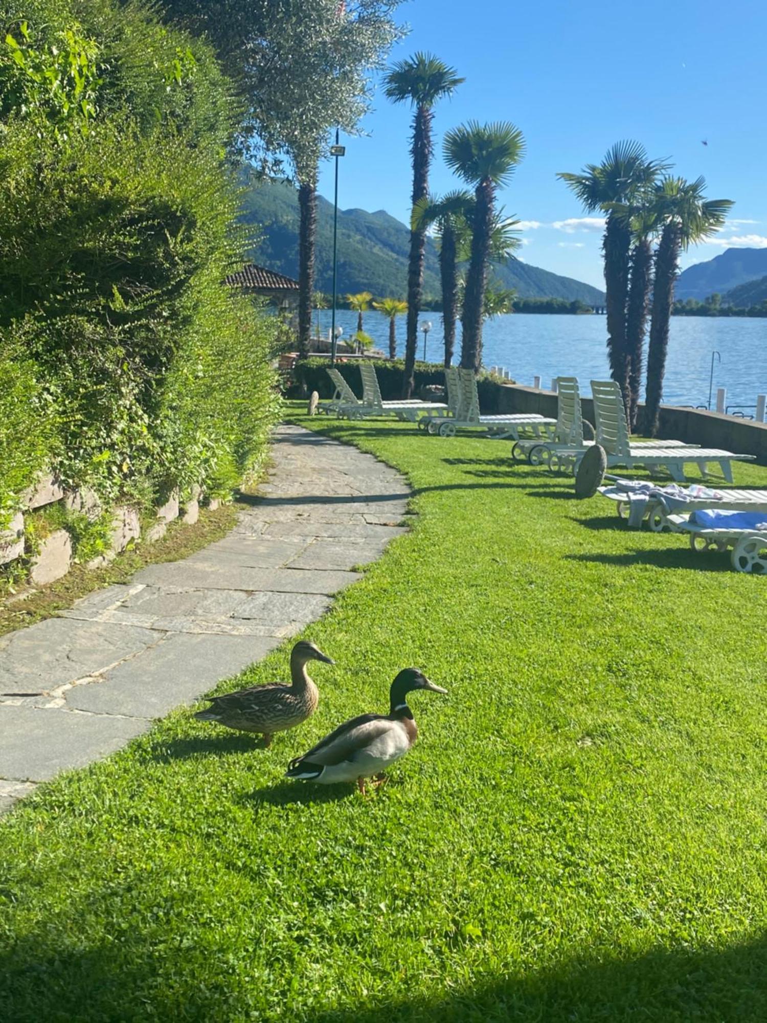 The View Of Lugano *